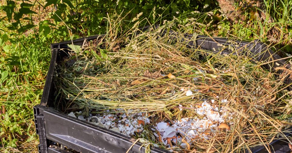 ������ ������������ ������ �� �������� ������ ���: ����������� ����������