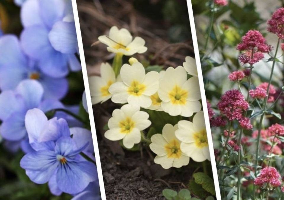 ��� ������ ������� �������� ���: ��� �������������, ������� �������� � ������ ���