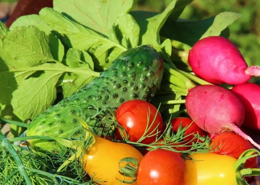 ��� �������������� �������� �����: ����������� ��������� �� ���������� �� �������