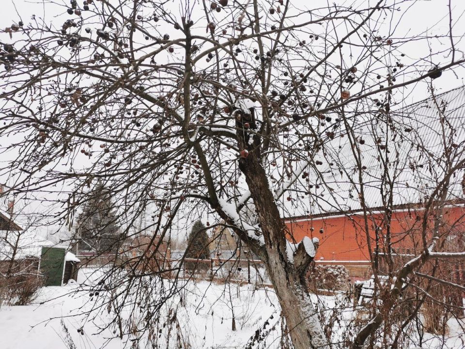 ��� ���������� �� �������� ������ � �������� ����� ������������ ������?