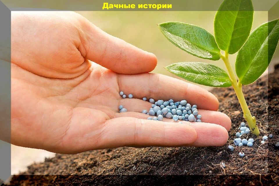 �������� ��������� ������: � ���� ��� ��������?