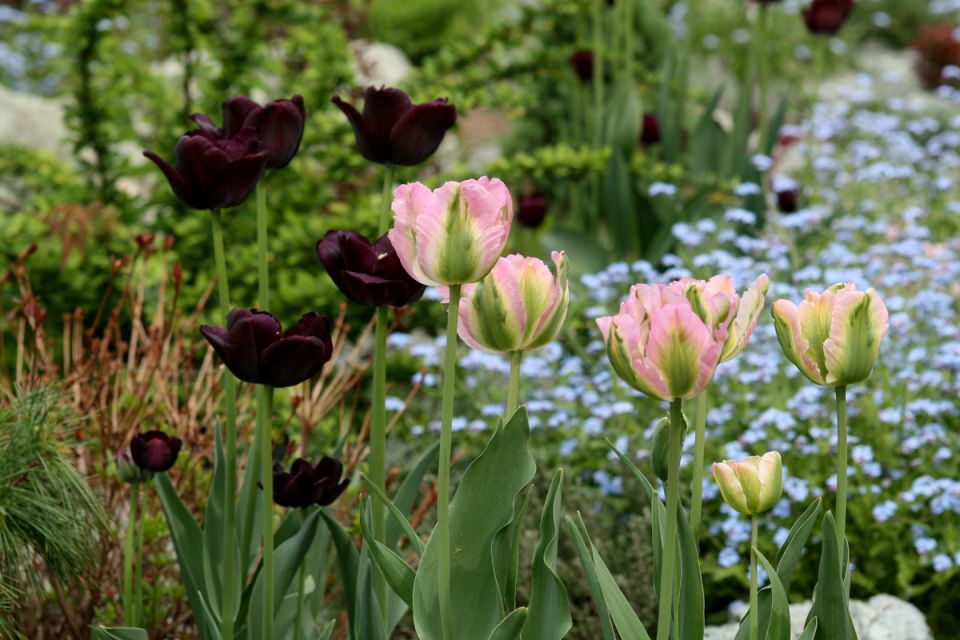 ���������� � ����: ������� ������� ���������� ��� ��������� ��������