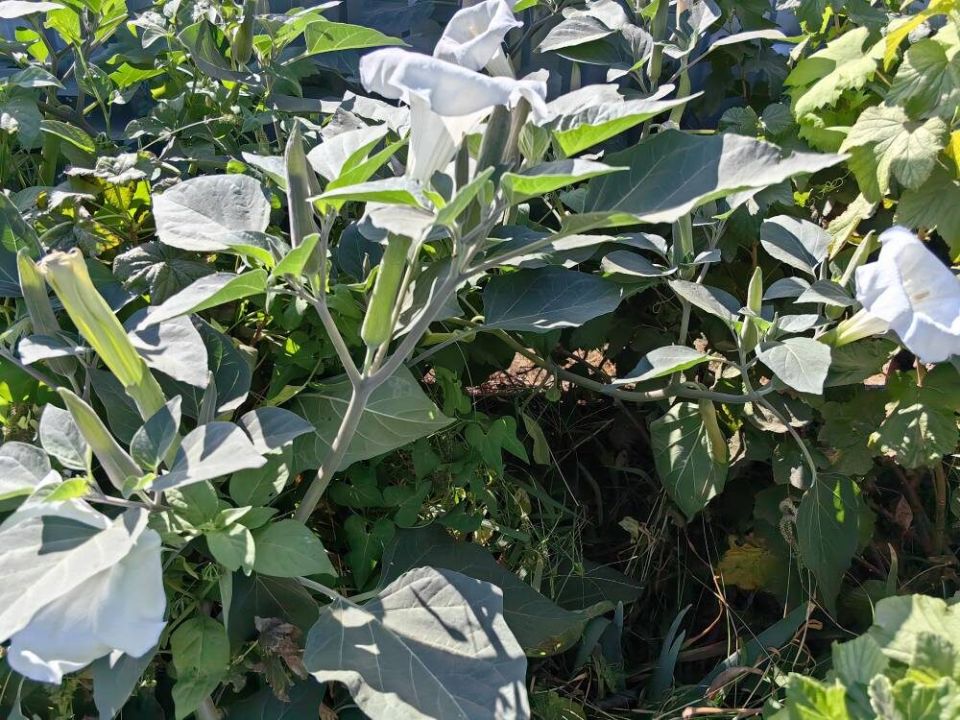 �������� ��������: ��������, �� ������� ����� � ����� ����