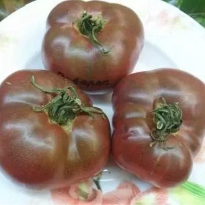 ����� �������� �����: ���������� ����� ��� �����������