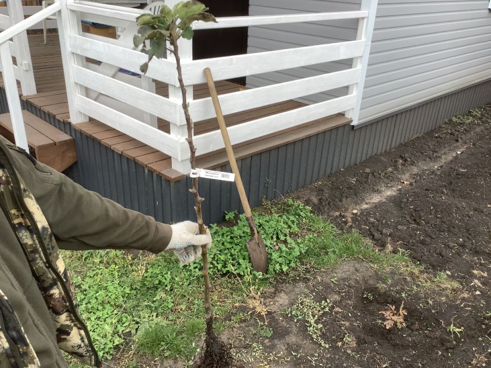 ��� ��������� ������ �������� ������� ������: ������ ���������