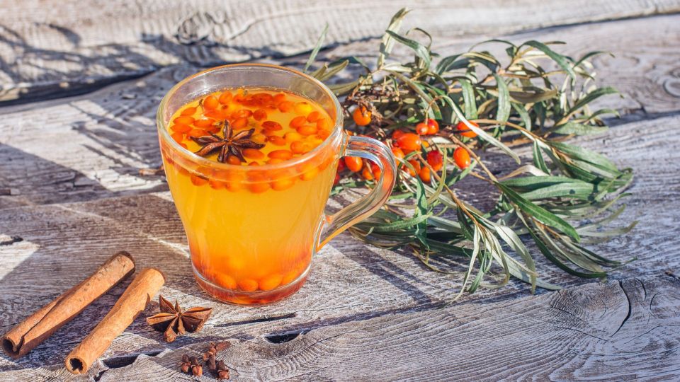 ���� ������� ������� ������� ������ �����: �������� ��������� �������� ���-�����