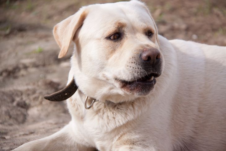 4 ������� ���������� �� ��������� ������ � ��������: �������� �� ���������� �� ������