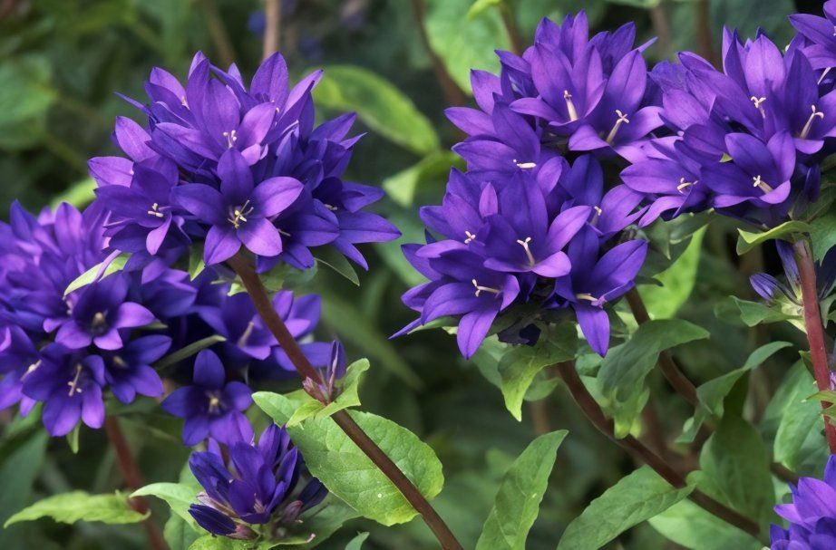 ������ ������������: ��� ��� �������� ��������� �������� � ����� ���