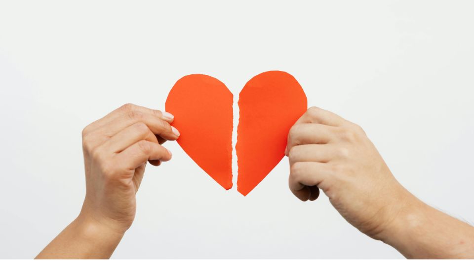 ���������� ������ ��� ������ ����������: ��� ������ � ��������� ���������� ���������