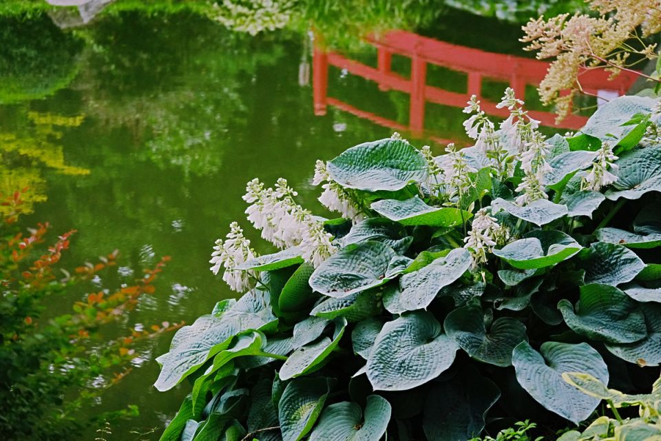 �������� ���� ��������: ��������, ������������� ������ ��������