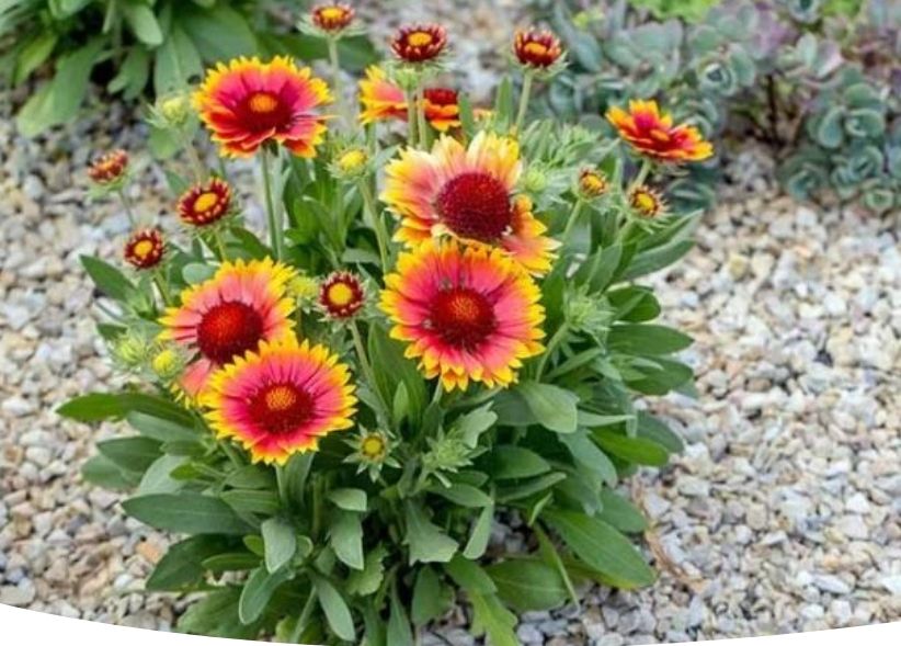 �������� ����� ������ ����: ��������� ��� ����� ��� ������� � ����