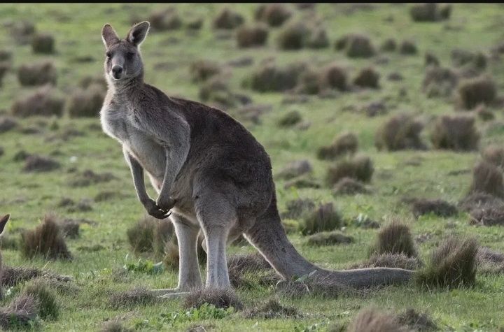 �������: �������� ������ � ��������� � ������������� �����