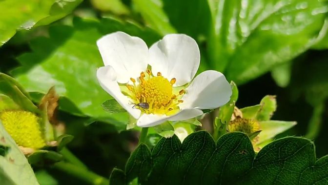 ��� ������ �������� �� �����������: ������� ����������� ��������� � ����