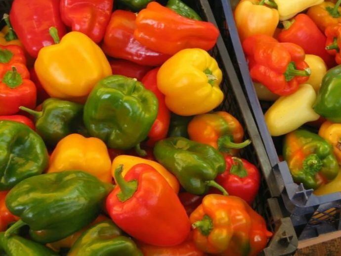 Как создать ароматную приправу самостоятельно, не тратя ни копейки