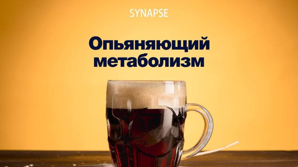 ��������� �������: ��� ������� �������� ����� ����� �������� ���������