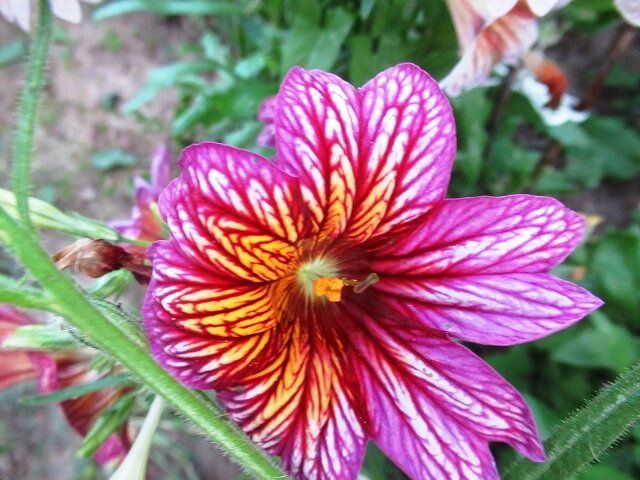 �������������: ��������� ������, ������� ����� ���������