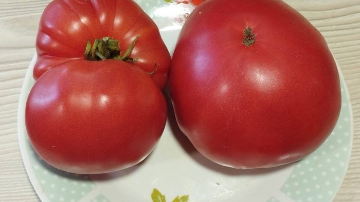 ����� �����: ���� � ��������� ������ �� ����� �������