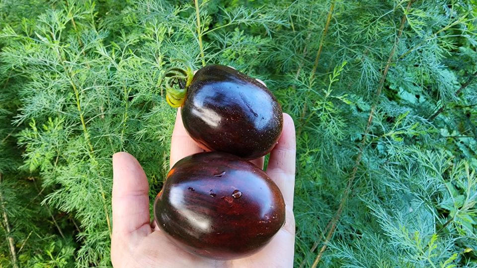 ������-��������: ��� �� ���������� � ������������ ������