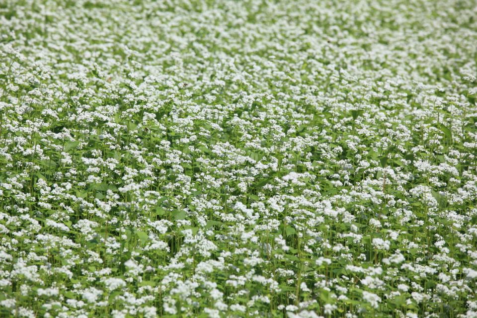 �������: ������� ������� ����� � ����������� �������