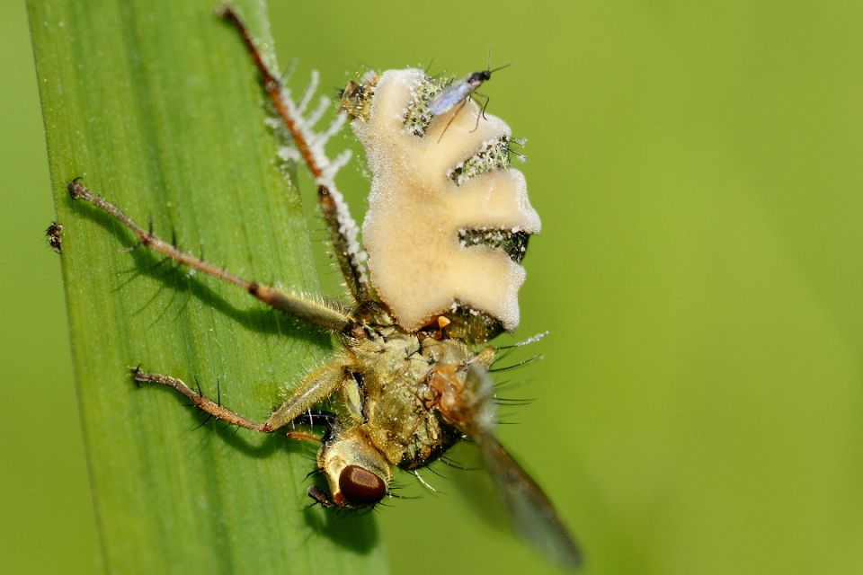 ����� � ����: ��������� ���������� �������� ����� ������� � �����������