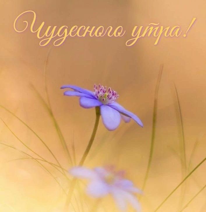  , !.  11     