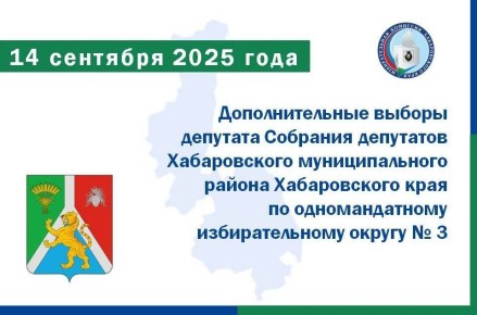       2025 