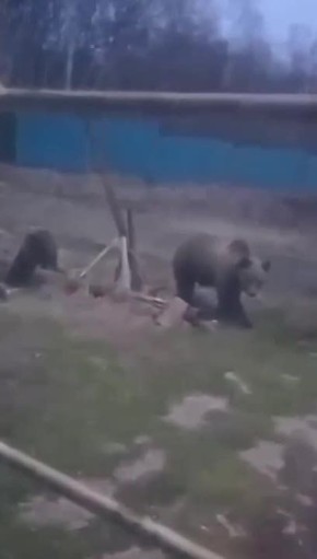  --  