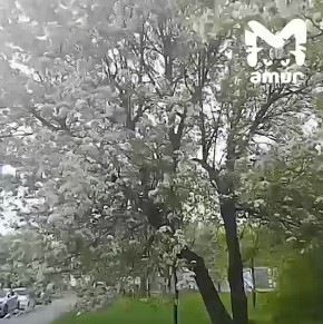   ,   ,      