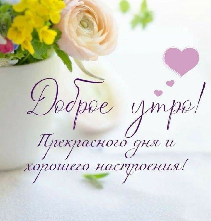  , !. 28      +33     +24 