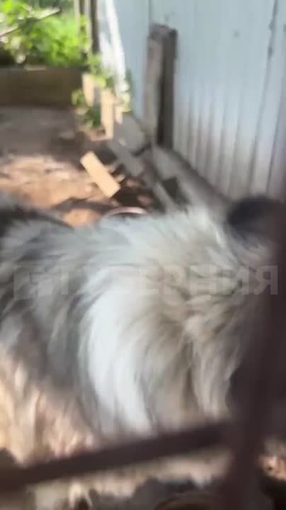      :          