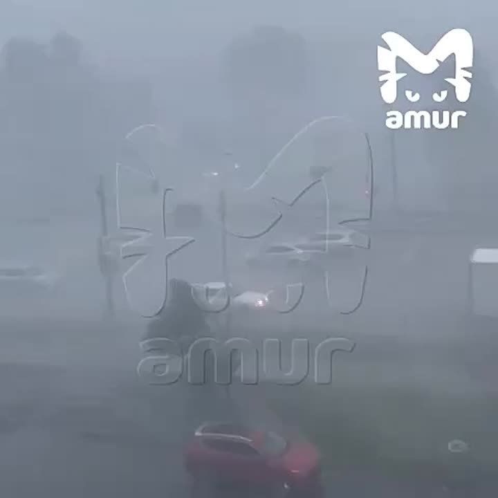   :    ,   