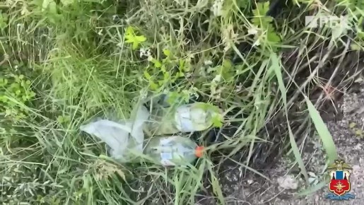    19-     ,   