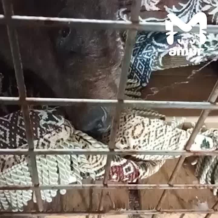 ,       ,  