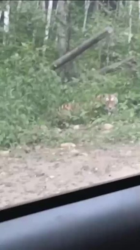 !  !:       - 