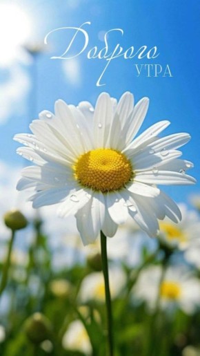  , !. 16  