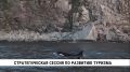  RussiaDiscovery,  ,    ,            