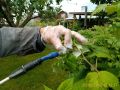 Секреты успешного огорода: как сохранить урожай в изменчивых погодных условиях