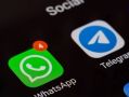    WhatsApp*  Telegram   