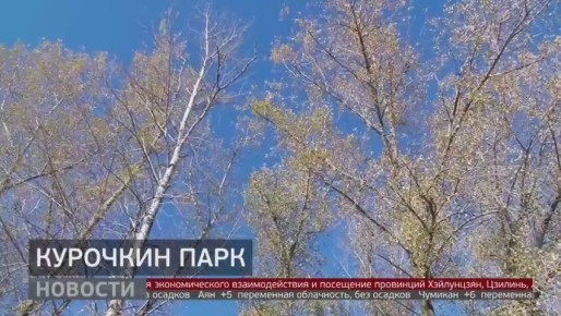Заброшенную территорию вблизи стадиона «Заря» в поселке имени Горького начали облагораживать