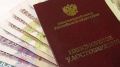 Дополнительные выплаты для пенсионеров: кто может претендовать?