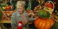 100-килограммовую тыкву вырастила у себя на даче хабаровчанка