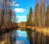 Неприемлемая критика: как с ней справиться?