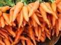 Как сделать морковь сладкой и сочной: секреты, которые преобразят ваш урожай
