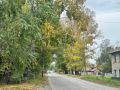 Пересчитать деревья планируют в мэрии Хабаровска
