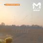 Тигра гоняли по полю машиной за то, что он охотится в двух сёлах Хабаровского края