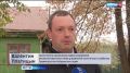 Неравнодушные хабаровчане переживают за судьбу осиротевших уток-мандаринок на городских прудах