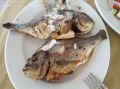Филе морского окуня вас разорит? Попробуйте эту рыбу, которая вкуснее и в 3 раза дешевле