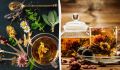 Почему стоит ежедневно пить травяной чай? 5 причин для вашего здоровья