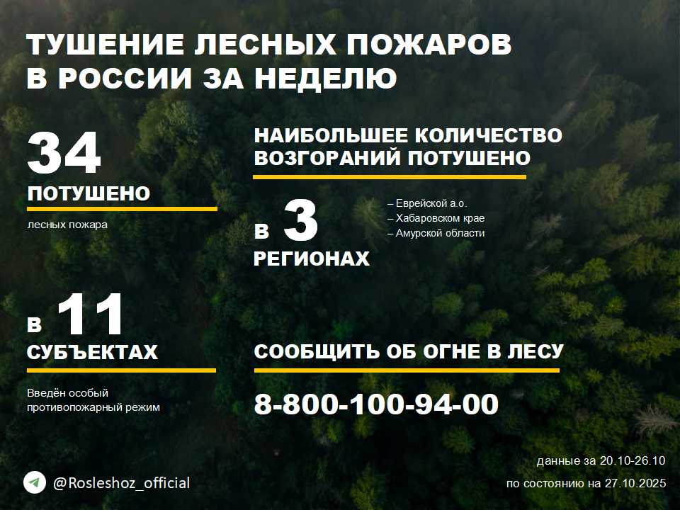 По данным Авиалесоохраны, подведомственной организации Рослесхоза, за прошедшую неделю потушено 34 лесных пожара в 9 регионах России