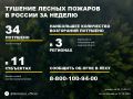 По данным Авиалесоохраны, подведомственной организации Рослесхоза, за прошедшую неделю потушено 34 лесных пожара в 9 регионах России
